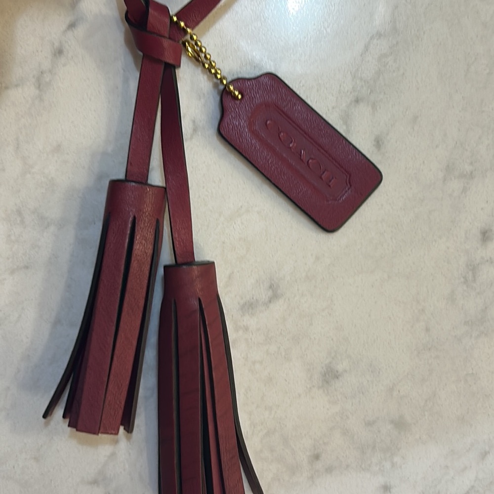 Coach adjustable strap bucket bag EUC! - Picture 13 of 17